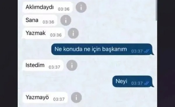 Son Sözü 'Gidelim Buradan Anne' Olmuş! CHP'li Hasbi Dede'nin Tacizine Uğramıştı